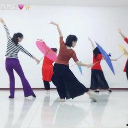 古典舞蹈的成人教学视频,领略传统艺术之美