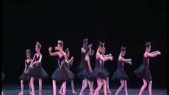 爵士启蒙成人舞教学视频,跟随教学视频，轻松入门成人舞蹈世界